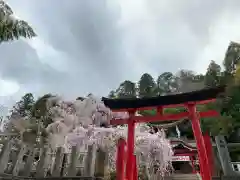 小川諏訪神社の鳥居