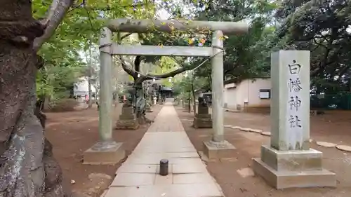 白幡神社の鳥居