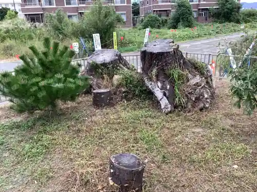 八龍神社（東八龍社）の自然