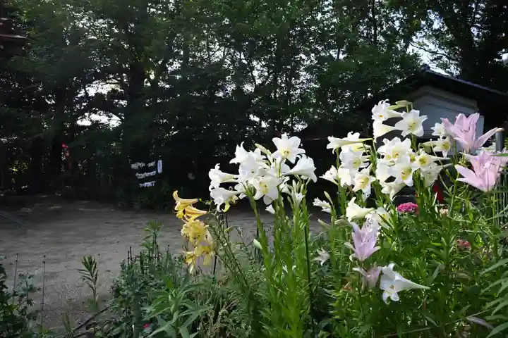 岡部春日神社~👹鬼門よけの🌺花咲く🌺やしろ~(福島県)