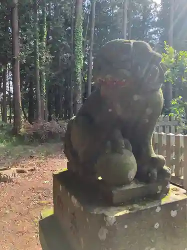 下石橋星宮神社(栃木県)