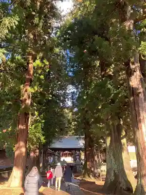 河口浅間神社(山梨県)