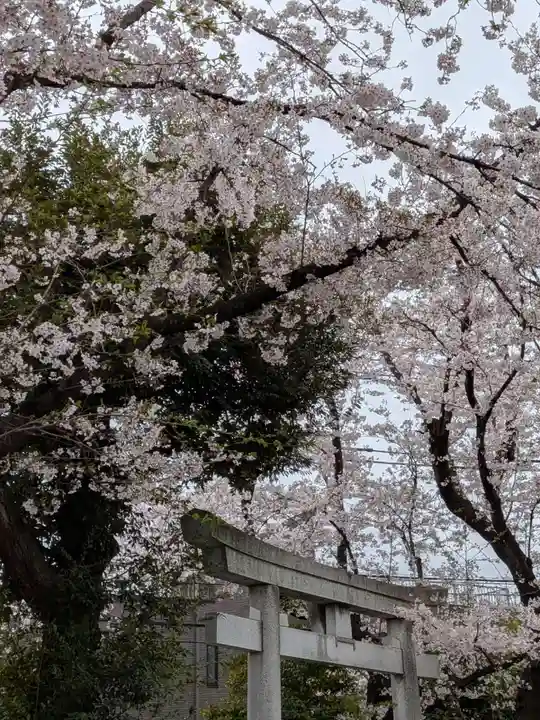 本郷氷川神社(東京都)