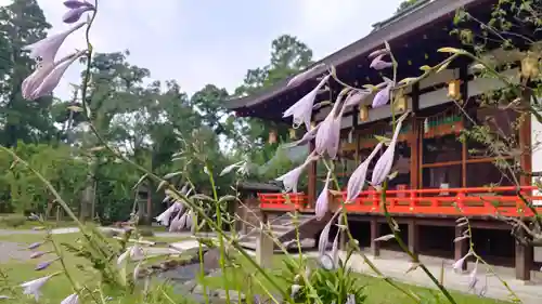 北野天満宮のその他建物