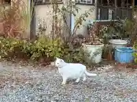 神咒寺(兵庫県)