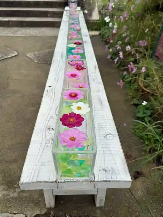 般若寺 ❁コスモス寺❁(奈良県)