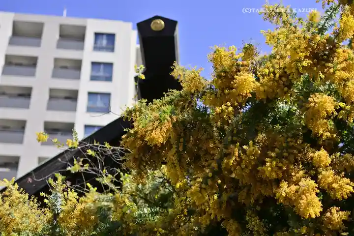 蔵前神社の自然