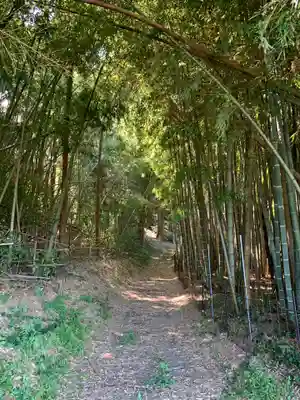 熊野神社の周辺