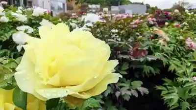金蛇水神社(宮城県)
