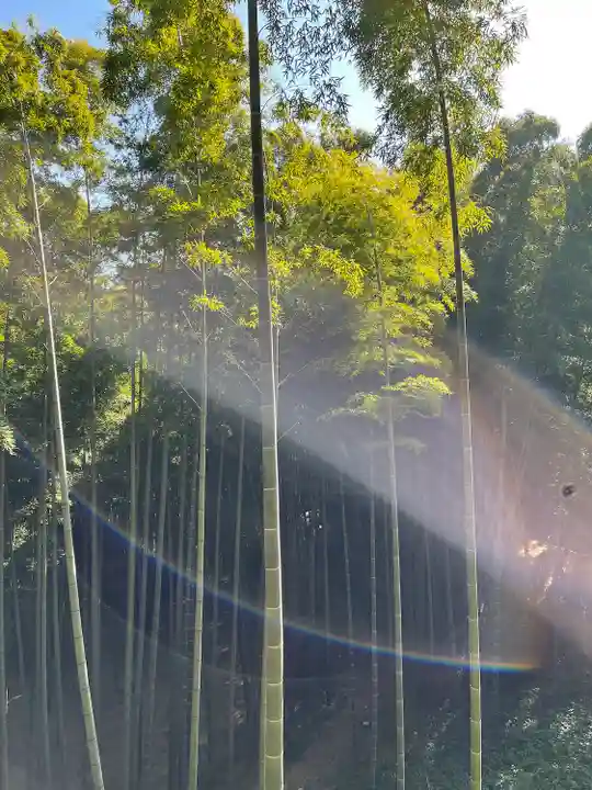 石清水八幡宮の自然