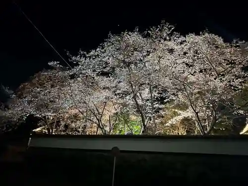 木舟山　順教寺(広島県)