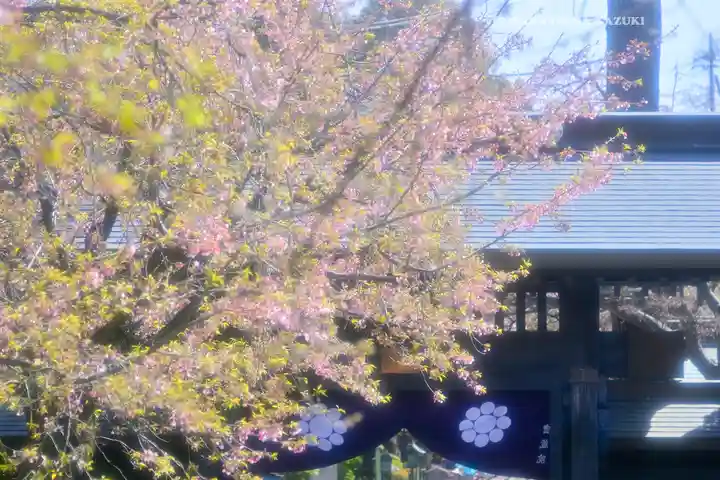 密藏院(埼玉県)