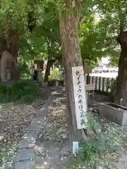 多奈波太神社(愛知県)