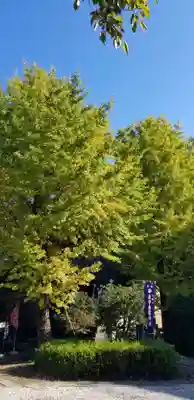 王子白髭神社のその他建物