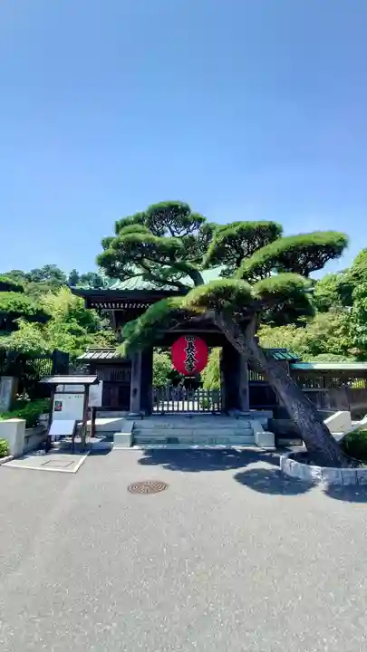 長谷寺(神奈川県)