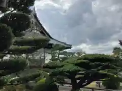 海宝寺の自然