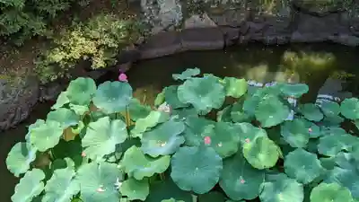 大谷本廟(京都府)