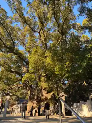 大麻比古神社(徳島県)