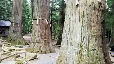 河口浅間神社(山梨県)