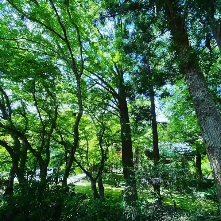 小松寺(千葉県)