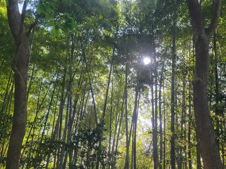 櫛玉比賣命神社(愛媛県)