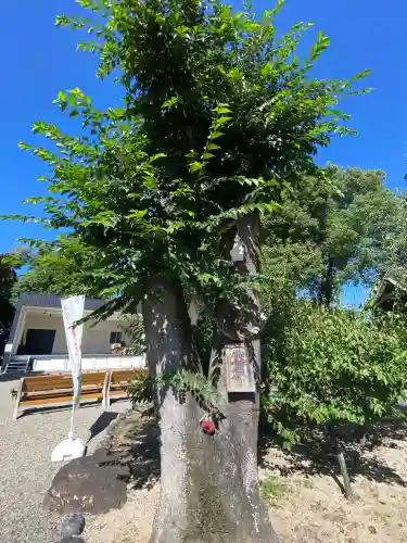 藤田神社[旧児島湾神社](岡山県)