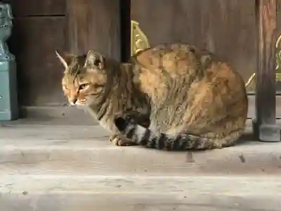 和泉國一之宮　大鳥大社(大阪府)