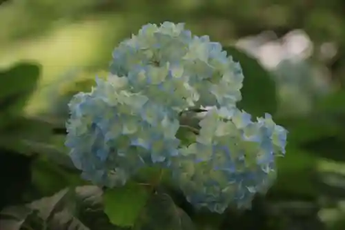 長屋神社の庭園