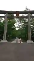 高麗神社の鳥居