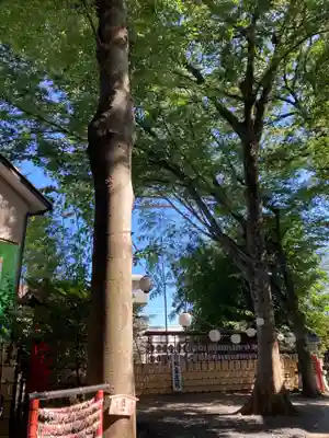 田無神社(東京都)