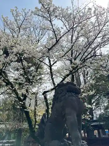 根津神社(東京都)