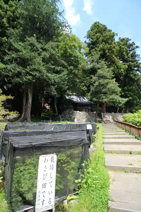 大滝神社(山梨県)