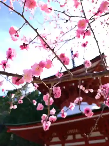 慈尊院の{uncategorized: "未分類", other: "その他", undefined: "問題あり", building: "その他建物", grave: "お墓", sacred_gate: "鳥居", guardian: "狛犬", statue: "像", buddha: "仏像", history: "歴史", nature: "自然", garden: "庭園", animal: "動物", pagoda: "塔", temizu: "手水舎", mountain_gate: "山門・神門", sanctuary: "本殿・本堂", subordinate: "末社・摂社", art: "芸術", scenery: "景色", jizo: "地蔵", ema: "絵馬", goshuin: "御朱印", omikuji: "おみくじ", items: "授与品その他", amulet: "お守り", goshuincho: "御朱印帳", eats: "食事", festival: "お祭り", votive_dance: "神楽", shichigosan: "七五三参", wedding: "結婚式", experience: "体験その他", initially: "初詣", around: "周辺", anti_infection: "感染症対策"}