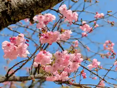 三津厳島神社(愛媛県)