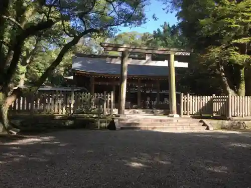 日前神宮・國懸神宮の鳥居