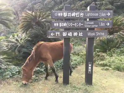 御崎神社の動物