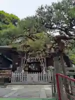 日吉神社の本殿・本堂