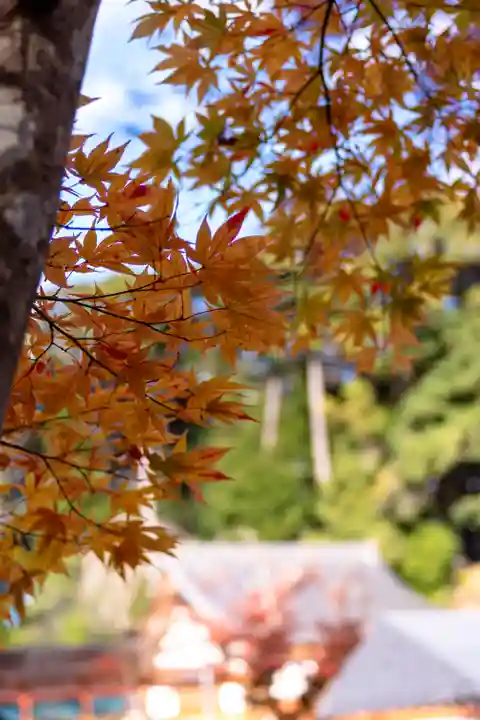 大原野神社(京都府)