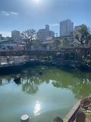亀戸天神社(東京都)