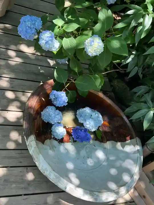 明月院(神奈川県)