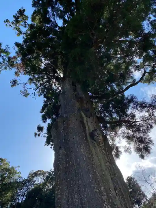 普門寺(切り絵御朱印発祥の寺)(愛知県)