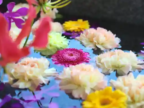 三津厳島神社の手水舎