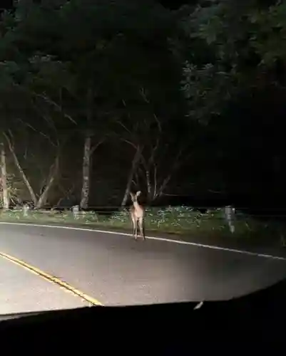 赤薙山神社(栃木県)