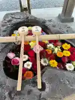 津島神社(宮城県)
