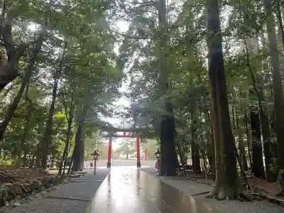 霧島神宮(鹿児島県)