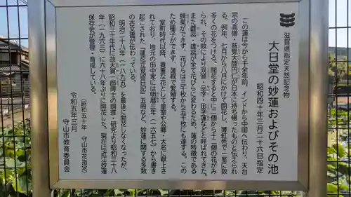 大日堂（近江妙蓮公園）(滋賀県)