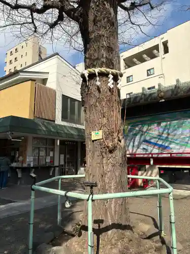 矢先稲荷神社の{uncategorized: "未分類", other: "その他", undefined: "問題あり", building: "その他建物", grave: "お墓", sacred_gate: "鳥居", guardian: "狛犬", statue: "像", buddha: "仏像", history: "歴史", nature: "自然", garden: "庭園", animal: "動物", pagoda: "塔", temizu: "手水舎", mountain_gate: "山門・神門", sanctuary: "本殿・本堂", subordinate: "末社・摂社", art: "芸術", scenery: "景色", jizo: "地蔵", ema: "絵馬", goshuin: "御朱印", omikuji: "おみくじ", items: "授与品その他", amulet: "お守り", goshuincho: "御朱印帳", eats: "食事", festival: "お祭り", votive_dance: "神楽", shichigosan: "七五三参", wedding: "結婚式", experience: "体験その他", initially: "初詣", around: "周辺", anti_infection: "感染症対策"}