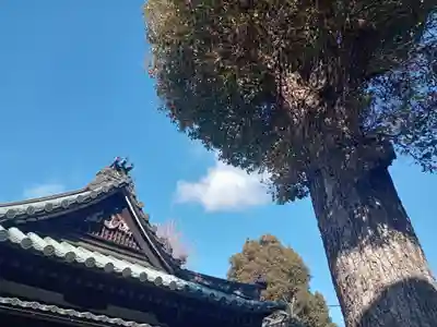 八幡大神宮のその他建物