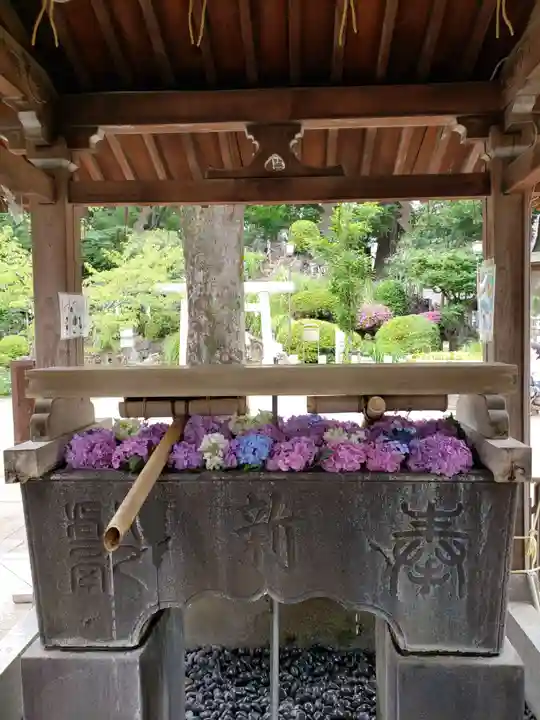 鳩森八幡神社の手水舎