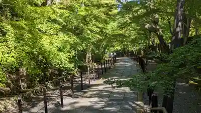 光明寺（粟生光明寺）(京都府)
